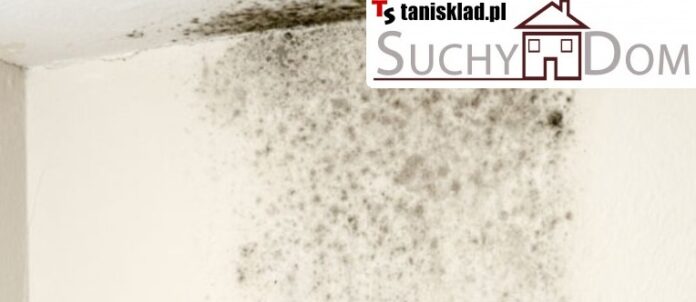 osuszanie fundamentów Iniekcja Krystaliczna